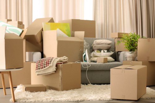Illustration for user cookie preference controls on a removal company site