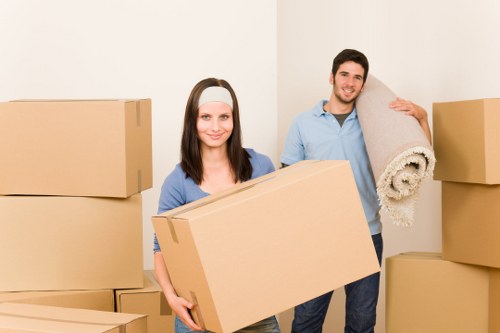 Boxes and furniture prepared for a flat move in Roehampton